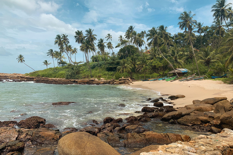 Sri Lanka: 4-dagars rundtur med djurliv och strand