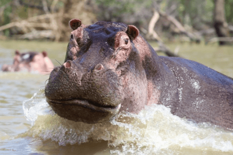 8 Days From Addis Ababa: Omo Valley Cultural & Tribal Tour