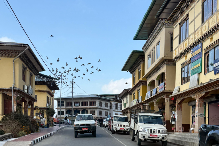 Bhutan: 6-Day Festival Tour with Meals and Guide