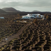 Lanzarote: Vineyard Tour with Wine and Chocolate Tasting