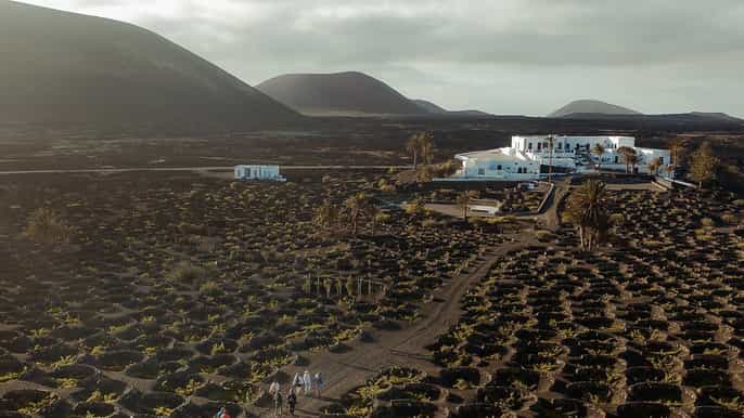 Lanzarote: Visita a viñedos con cata de vino y chocolate