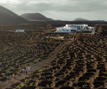 Lanzarote: Wijngaard Tour met Wijn en Chocolade Proeverij