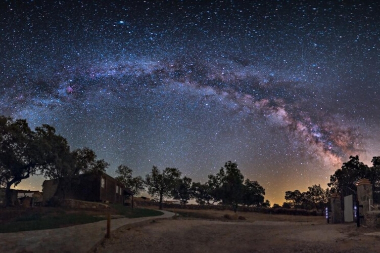 Under the Stars: Night Immersion with Sky Interpretation