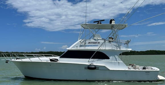 Falmouth: Yacht Cruise with Luminous Lagoon with Lunch