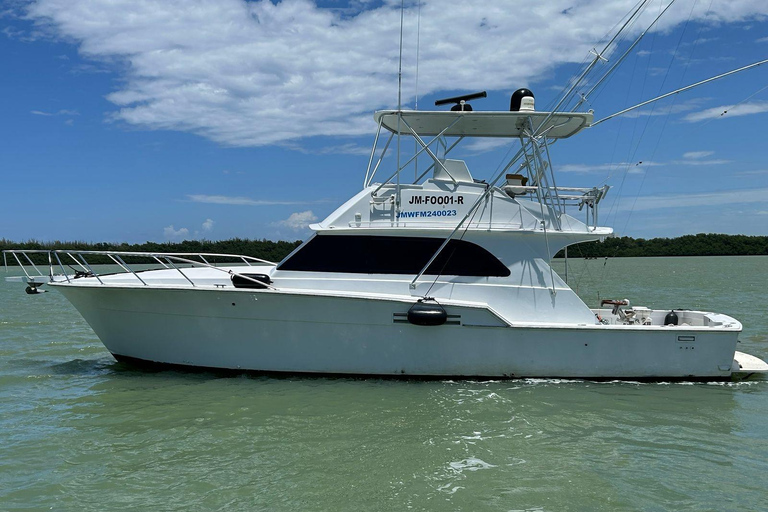 Falmouth: Yacht Cruise with Luminous Lagoon with Lunch