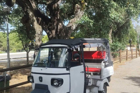Hidden Albufeira in a Tuk Tuk
