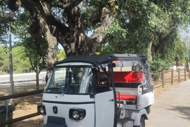 Hidden Albufeira in a Tuk Tuk