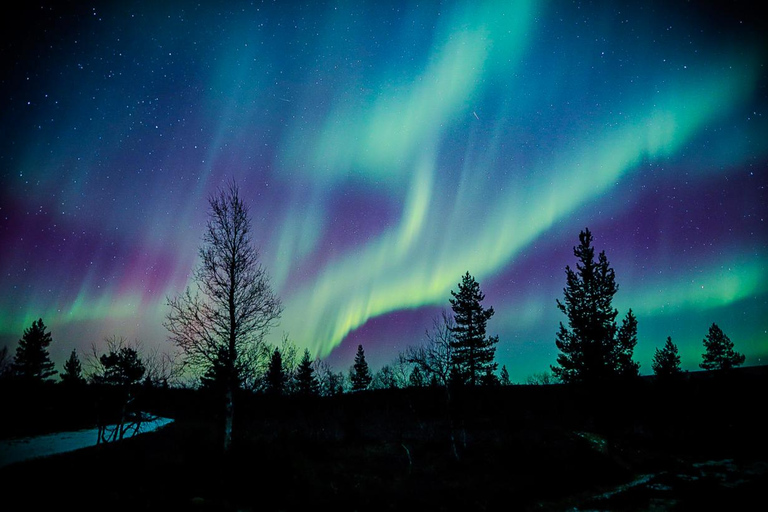 Saariselkä,Kakslauttanen: Aurora Hunting & Photography Tour. Private Aurora Hunting & Photography Tour By Minivan