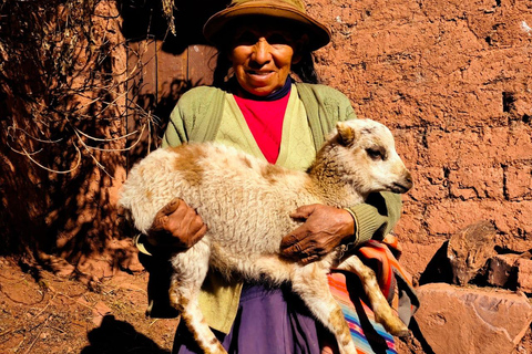 From Cusco: Sunset Llama Trek with Stargazing & Bonfire