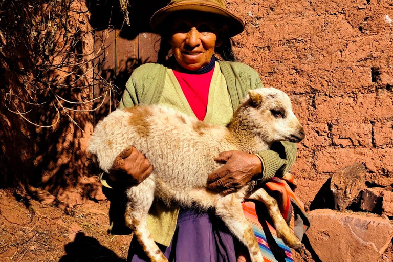 From Cusco: Sunset Llama Trek with Stargazing & Bonfire