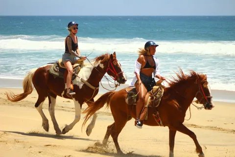 Cabo San Lucas: Horseback Riding in Migriño with Transfers