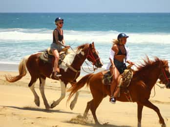 Cabo San Lucas: Horseback Riding in Migriño with Transfers