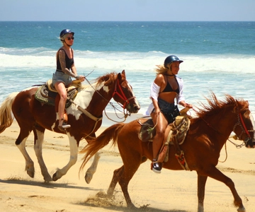 Cabo San Lucas: Reiten in Migriño mit Transfers