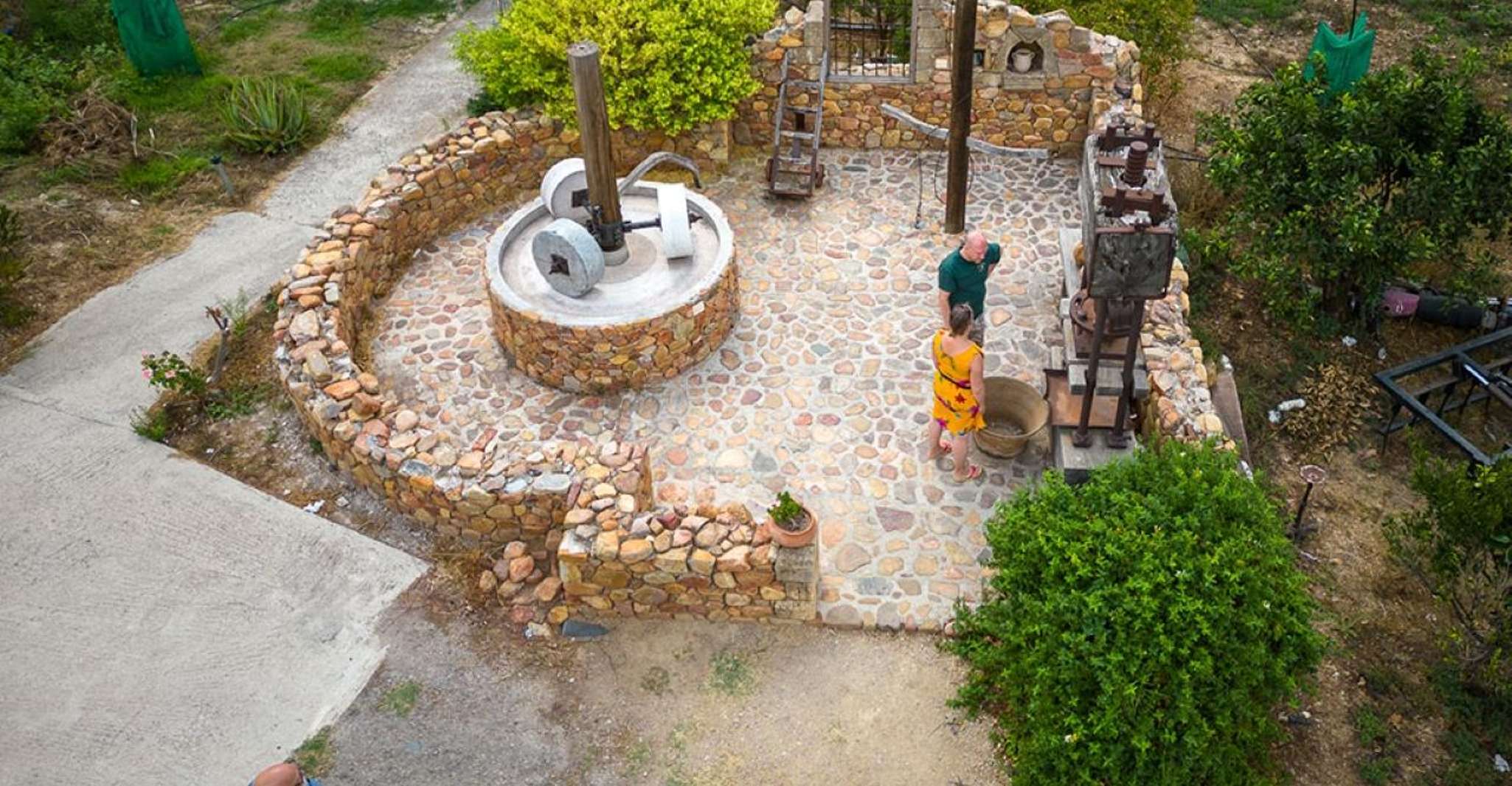Das Wunder von Wein und Olivenöl, Tagestour von Chania - Hizvo