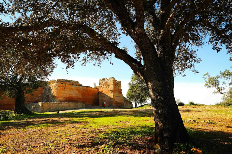 Algarve: Open 4x4 Jeep Tour, Alte, Natural Pools & Tastings