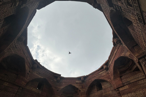 Delhi: Metro Heritage Tour with Guide