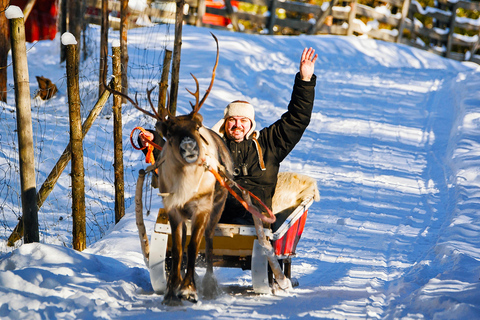 Rovaniemi: Reindeer & Husky Ride with Transfers