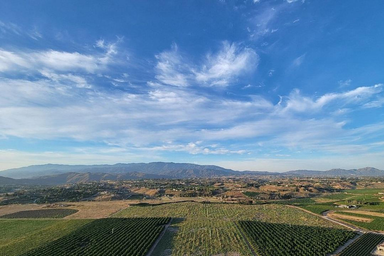 Temecula Morning Hot Air Balloon Ride with Champagne Toast