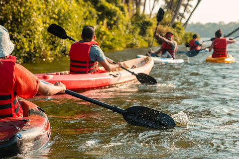 Kayak de espalda en Baga Goa