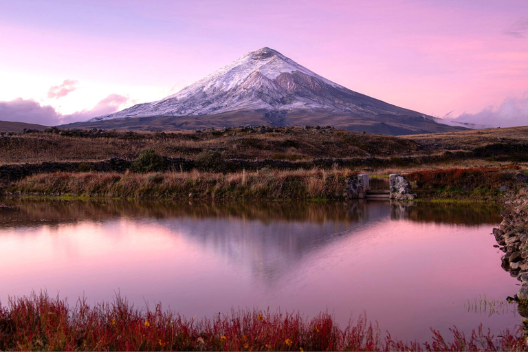 Quito: Cotopaxi National Park Tour and Horseback Ride