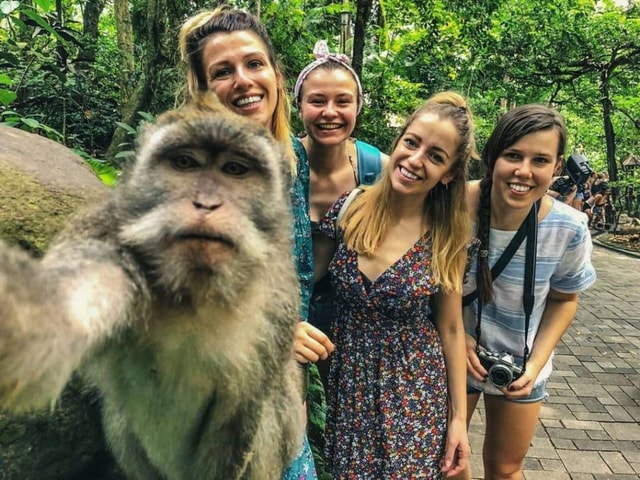 Magical Ubud: Temples, Rice Terraces & Waterfalls