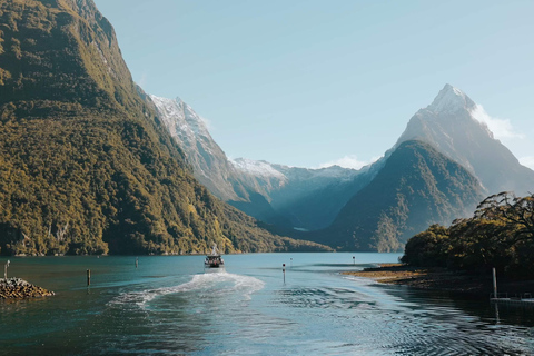 Från Queenstown: Milford Sound buss, kryssning, sceniskt flygMilford Sound: Buss | Kryssning | Flyg från Queenstown