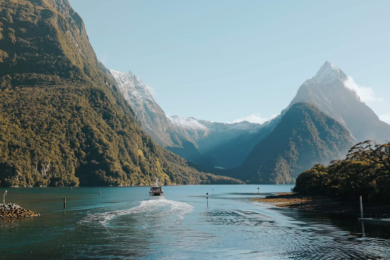 Från Queenstown: Milford Sound buss, kryssning, sceniskt flygMilford Sound: Buss | Kryssning | Flyg från Queenstown