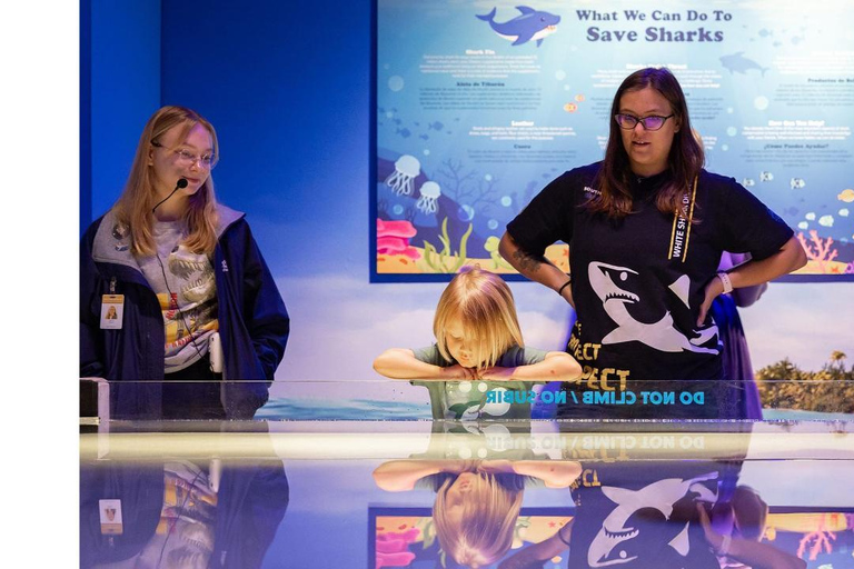 Houston: Museum of Natural Science Sharks Exhibit Entry