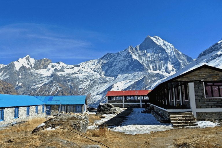 Pokhara : Trekking del Campo Base dell&#039;Annapurna di 7 giorni con sorgente termale