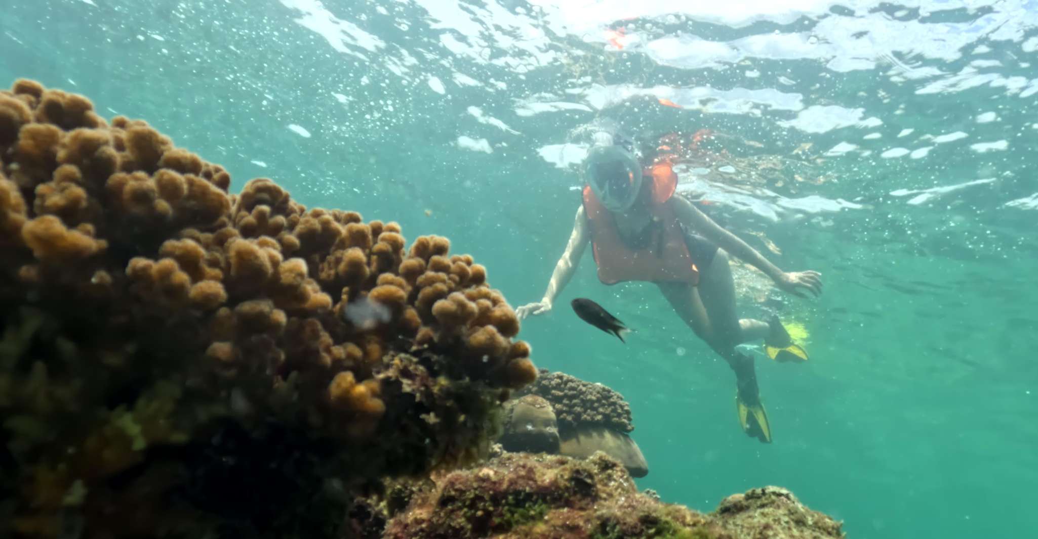 Phu Quoc, Snorkeling Descubre los arrecifes de coral del sur - Hizvo