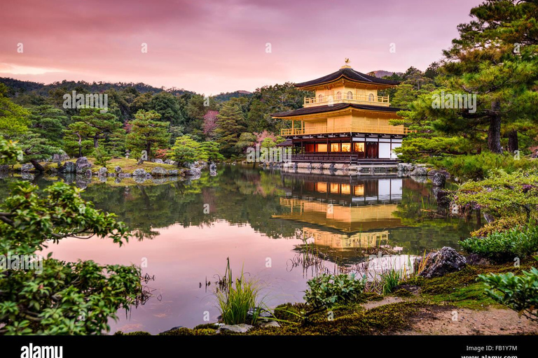 Kyoto: Private Custom Tour with English Guide and Vehicle Kyoto: Private Custom Tour with Licensed Guide and Vehicle