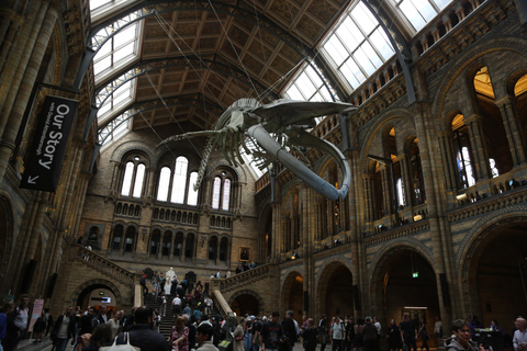 London: Natural History Museum Express Tour & Audio App