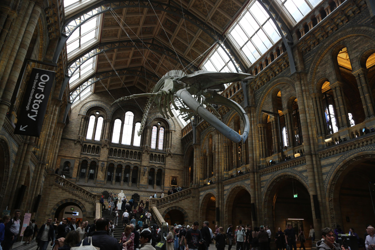 London: Natural History Museum Express Tour & Audio App
