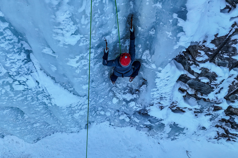 Abisko: Ijsklimmen voor alle niveaus met gecertificeerde gidsAbisko: ijsklimmen voor alle niveaus met gecertificeerde gids