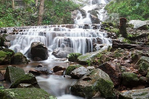 Chiang Mai : location d'un minibus avec chauffeur pour Doi Mae Kam PongChiang Mai : Location d'un minibus avec chauffeur à Doi Mae Kam Pong