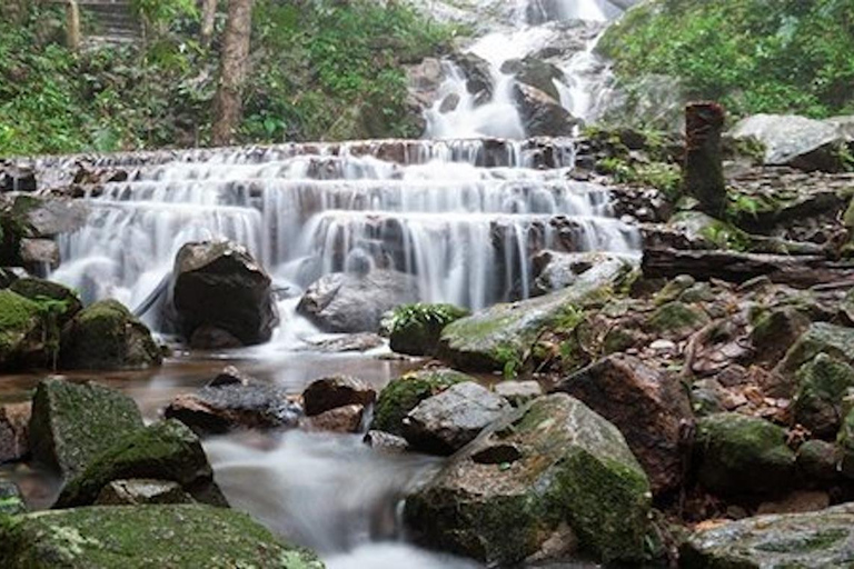 Chiang Mai : location d'un minibus avec chauffeur pour Doi Mae Kam PongChiang Mai : Location d'un minibus avec chauffeur à Doi Mae Kam Pong