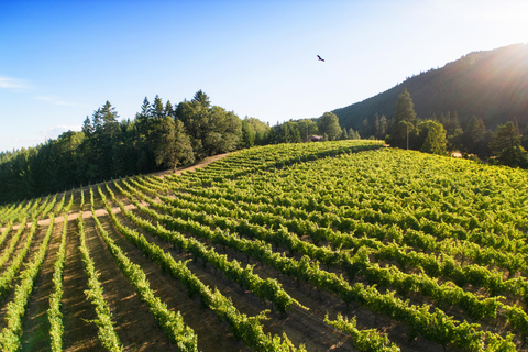 Umpqua Valley, OR: Digital Wine Tasting Pass 7-Day Wine Tasting Pass