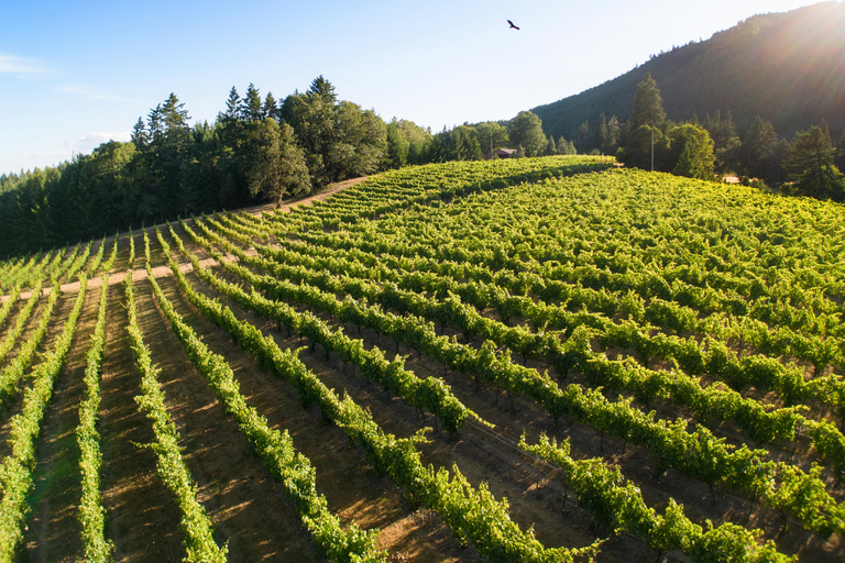 Umpqua Valley, OR: Digital Wine Tasting Pass 7-Day Wine Tasting Pass