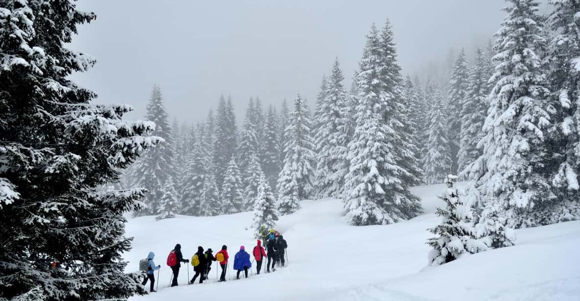 Afbeelding 2 van Nationaal park Sila: sneeuwschoenwandeling met gids voor gezinnen.