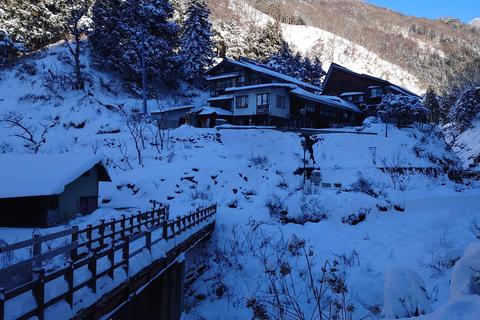 Tokyo: 5-Day Private Tour to Hiroshima with Transport