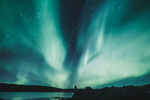 Rovaniemi: Excursão à aurora boreal com observação garantidaRovaniemi: tour da aurora boreal com avistamentos garantidos