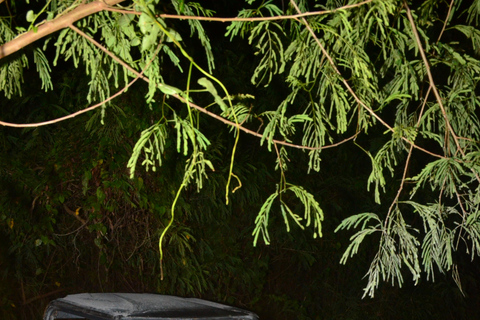 Adventure Park: Polaris at Night, Waterfall Pool Party, and Surf & Turf Dinner Polaris at Night, Waterfall Pool + Surf & Turf Dinner (QDP)