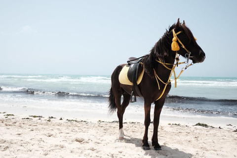 Djerba: Horseback Riding Adventure with Transfer