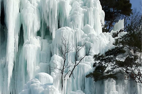 Seúl: Excursión de invierno en Pocheon con recogida de fresasSalida desde la estación Dongdaemun History&amp;Culture Park, salida 10.