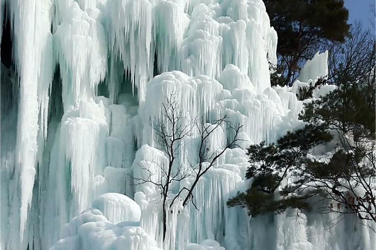 Seúl: Excursión de invierno en Pocheon con recogida de fresasSalida desde la estación Dongdaemun History&amp;Culture Park, salida 10.