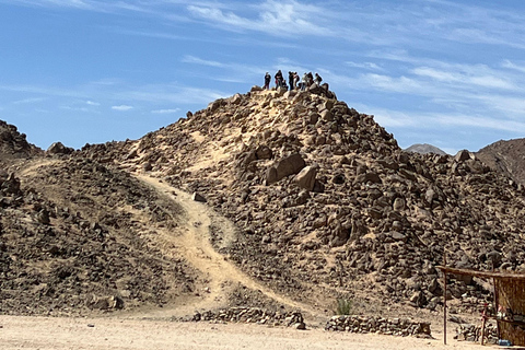 Hurghada: Quad Bike, Buggy, Jeep Safari, Przejażdżka na wielbłądzie i KolacjaQuad Bike, Buggy, Jeep Safari, Przejażdżka na wielbłądzie i kolacja