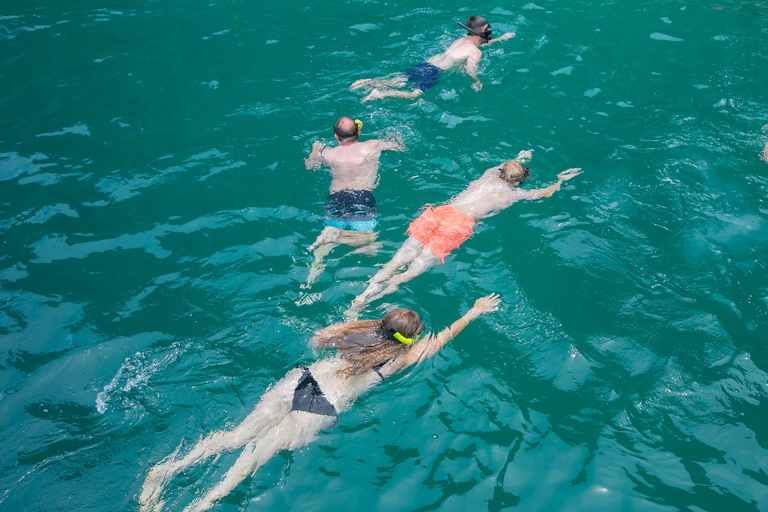 Phi Phi: Eén dag Speedboot naar Maya Bay met snorkelen