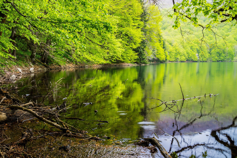 Kotor: Dagsutflykt och båtresa till Skadarsjön och BiogradFrom Herceg Novi
