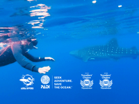 Trip de Daymaniyat Islands en plongée en apnée, y compris le déjeuner - Housity