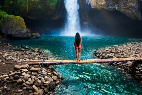 Bali: Ubud (Temple, Spring, Rice Terraces, & Waterfall) Private (Basic Package)